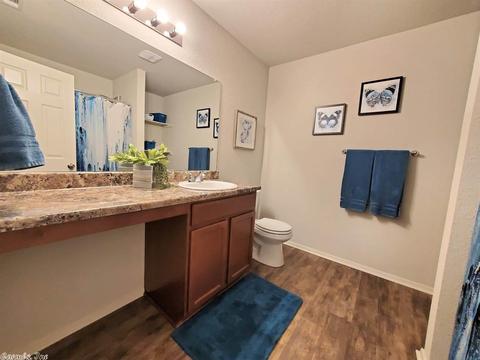 28 Oakland Cir, Austin, AR 72007 photo 19