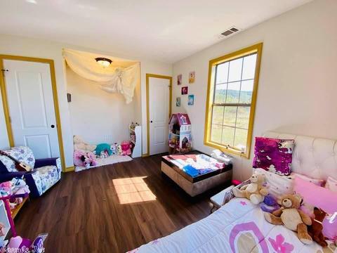 24524 Highway 263, Timbo, AR 72680 photo 18