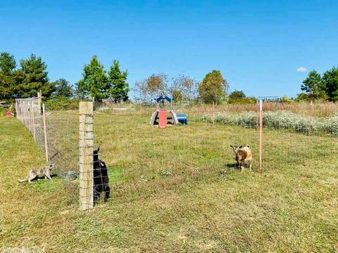 24524 Highway 263, Timbo, AR 72680 photo 24