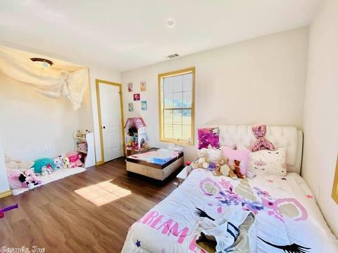 24524 Highway 263, Timbo, AR 72680 photo 19