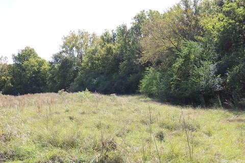 tbd Craig Ln, De Queen, AR 71832 photo 2