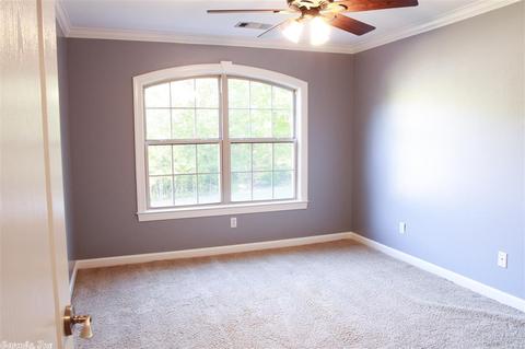 250 Bull Run Loop, Cabot, AR 72023 photo 31