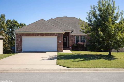 3972 Mountain Crest Cir, Alexander, AR 72002 photo 37