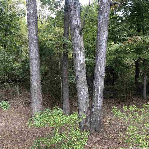 2503 Sheffield Dr, Pine Bluff, AR 71603 photo 22
