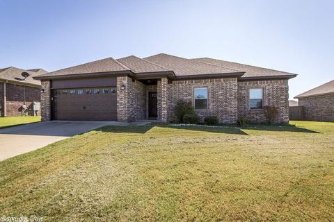 737 Mango Loop, Austin, AR 72007 photo 5