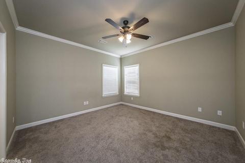 737 Mango Loop, Austin, AR 72007 photo 20