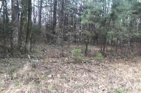 10024 Brown Cemetary, Pine Bluff, AR 71603 photo 1