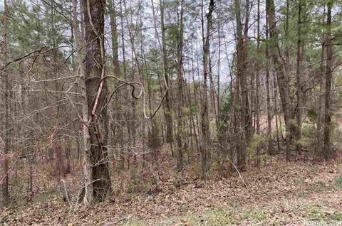 10024 Brown Cemetary, Pine Bluff, AR 71603 photo 3