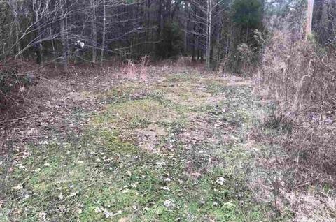 10024 Brown Cemetary, Pine Bluff, AR 71603 photo 4