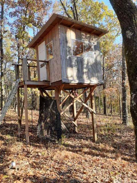 1715 Cedar Crk, Wideman, AR 72585 photo 30