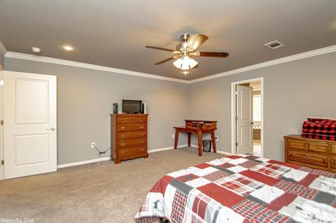 563 Joseph Dr, Alexander, AR 72002 photo 22