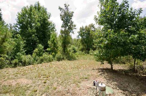 185 Grand Trunk Rd, Conway, AR 72032 photo 30