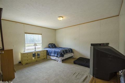 185 Grand Trunk Rd, Conway, AR 72032 photo 22