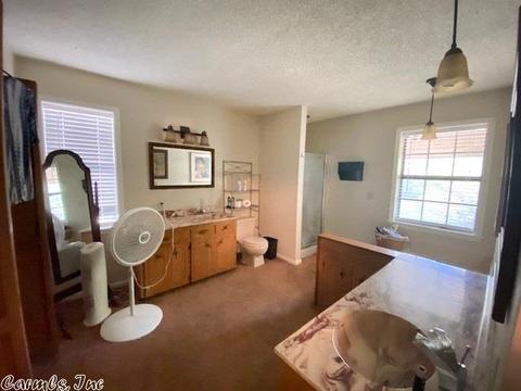 121 Evans Ln, Ward, AR 72176 photo 12