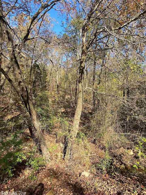 256 Sandy Ford Rd, Beebe, AR 72012 photo 39