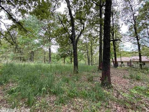 167 Turkey Pen Rd, Highland, AR 72542 photo 34