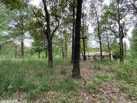 167 Turkey Pen Rd, Highland, AR 72542 photo 26
