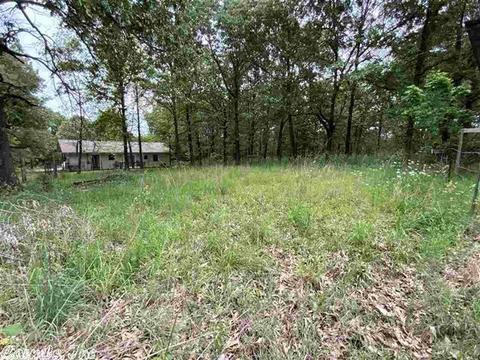167 Turkey Pen Rd, Highland, AR 72542 photo 28