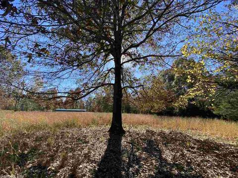 820 Spring River Ranch Rd, Williford, AR 72482 photo 30