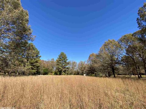 820 Spring River Ranch Rd, Williford, AR 72482 photo 10