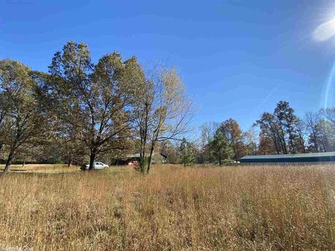 820 Spring River Ranch Rd, Williford, AR 72482 photo 11