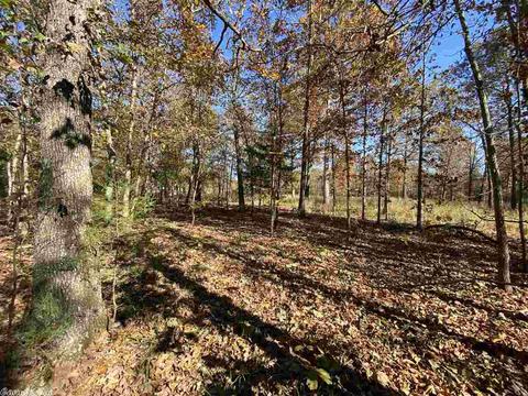 820 Spring River Ranch Rd, Williford, AR 72482 photo 33