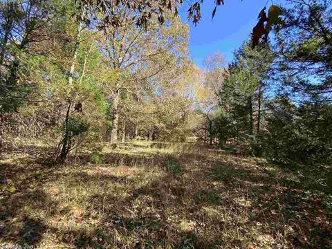 820 Spring River Ranch Rd, Williford, AR 72482 photo 37