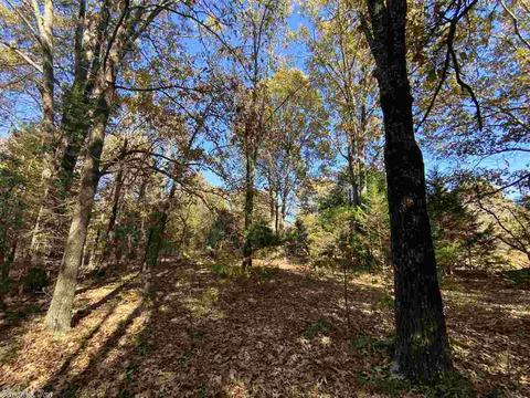 820 Spring River Ranch Rd, Williford, AR 72482 photo 36