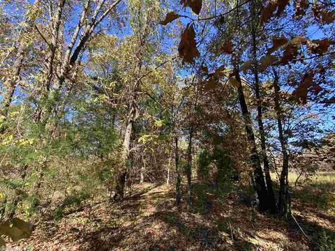 820 Spring River Ranch Rd, Williford, AR 72482 photo 35
