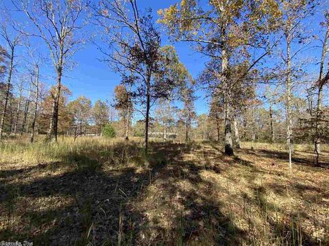 820 Spring River Ranch Rd, Williford, AR 72482 photo 8