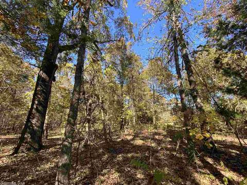 820 Spring River Ranch Rd, Williford, AR 72482 photo 27