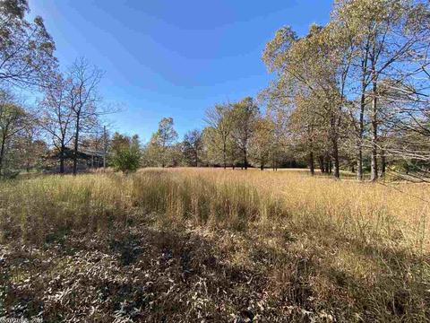 820 Spring River Ranch Rd, Williford, AR 72482 photo 31