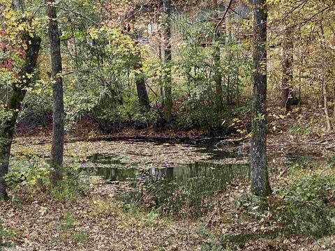 6165 Hwy 270 East Hwy, Mount Ida, AR 71957 photo 26