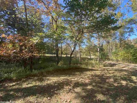 6165 Hwy 270 East Hwy, Mount Ida, AR 71957 photo 5