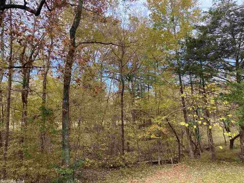 6165 Hwy 270 East Hwy, Mount Ida, AR 71957 photo 12