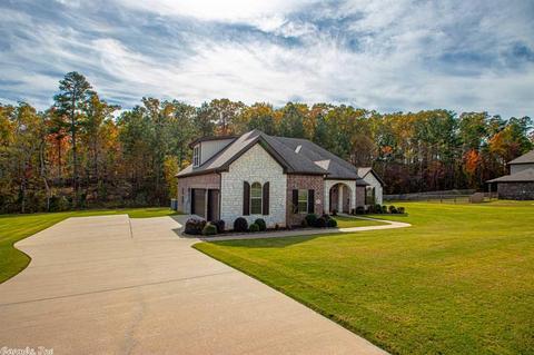 11182 Stonehill Dr, Alexander, AR 72002 photo 2