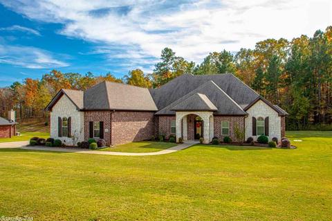 11182 Stonehill Dr, Alexander, AR 72002 photo 3