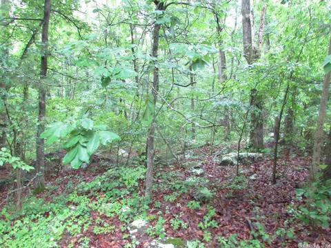 718 Weldon Rd, Edgemont, AR 72044 photo 9
