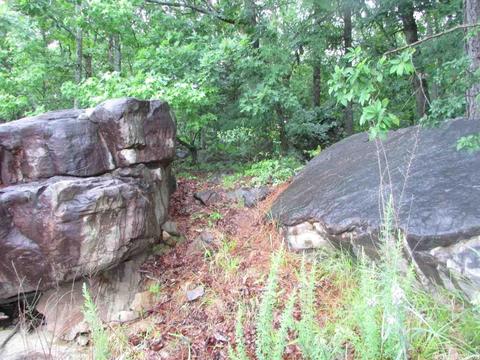 718 Weldon Rd, Edgemont, AR 72044 photo 6