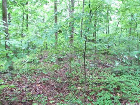 718 Weldon Rd, Edgemont, AR 72044 photo 7