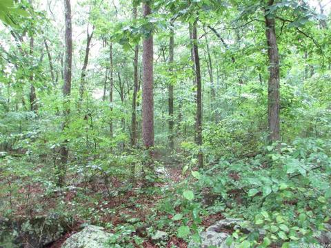 718 Weldon Rd, Edgemont, AR 72044 photo 16