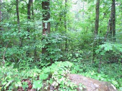 718 Weldon Rd, Edgemont, AR 72044 photo 5