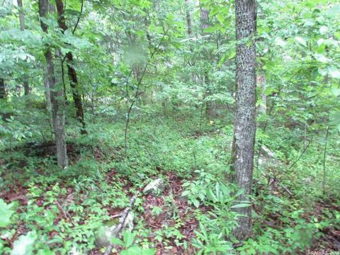 718 Weldon Rd, Edgemont, AR 72044 photo 13