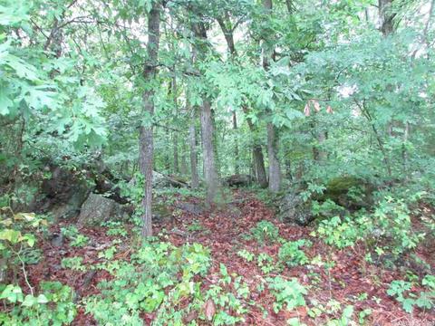 718 Weldon Rd, Edgemont, AR 72044 photo 12