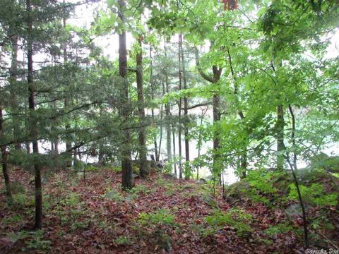 718 Weldon Rd, Edgemont, AR 72044 photo 1