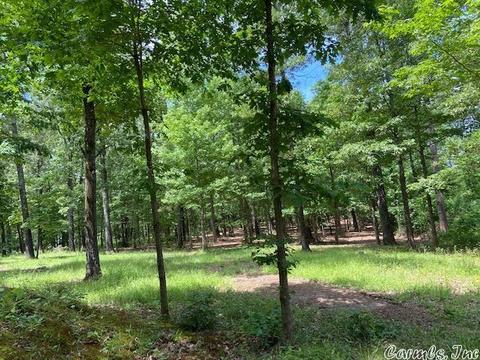 770 Davidson Cir, Edgemont, AR 72044 photo 4