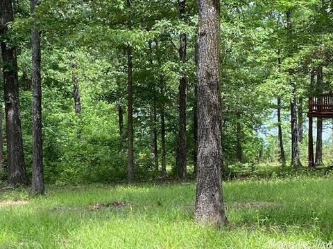 770 Davidson Cir, Edgemont, AR 72044 photo 11
