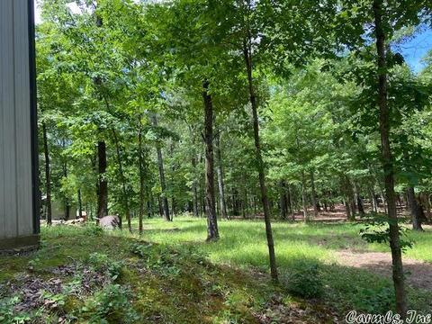 770 Davidson Cir, Edgemont, AR 72044 photo 6