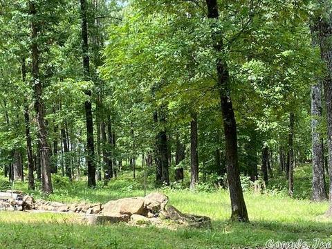 770 Davidson Cir, Edgemont, AR 72044 photo 8