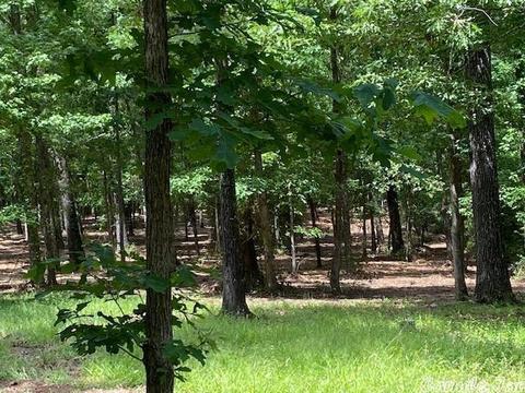 770 Davidson Cir, Edgemont, AR 72044 photo 7